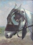 Bondok the Horse (26.5 X 33.5 cm) 1946