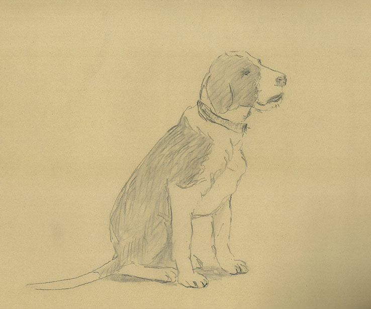 8.5 Study Dog-1943